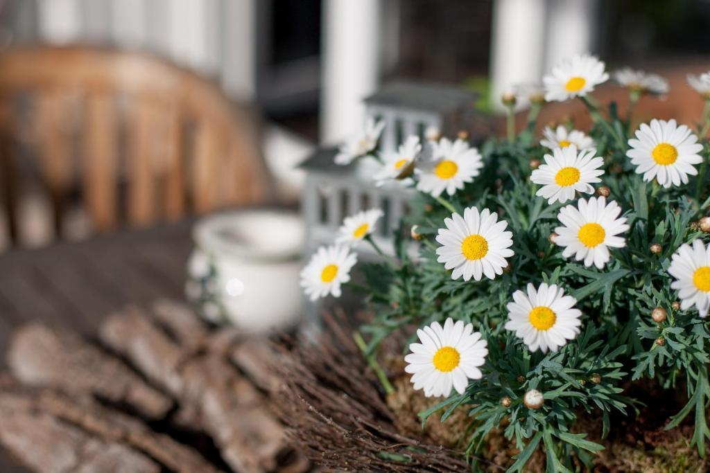 Apartments "Happy Family" ルスト 部屋 写真